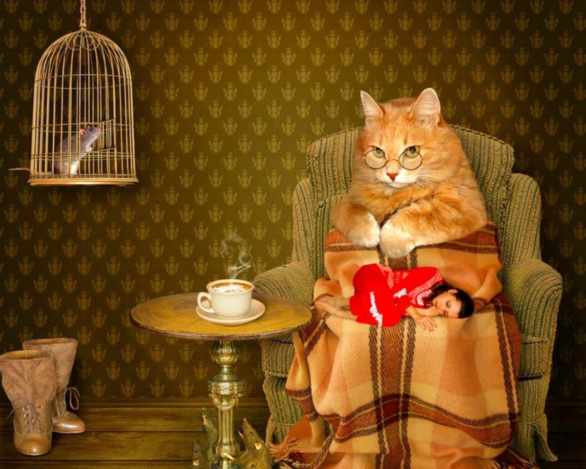 Маскаев Максим