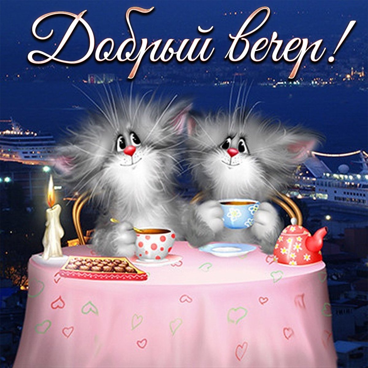 Добрый вечер с котиками