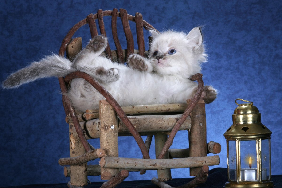 Открытки добрый вечер дорогой