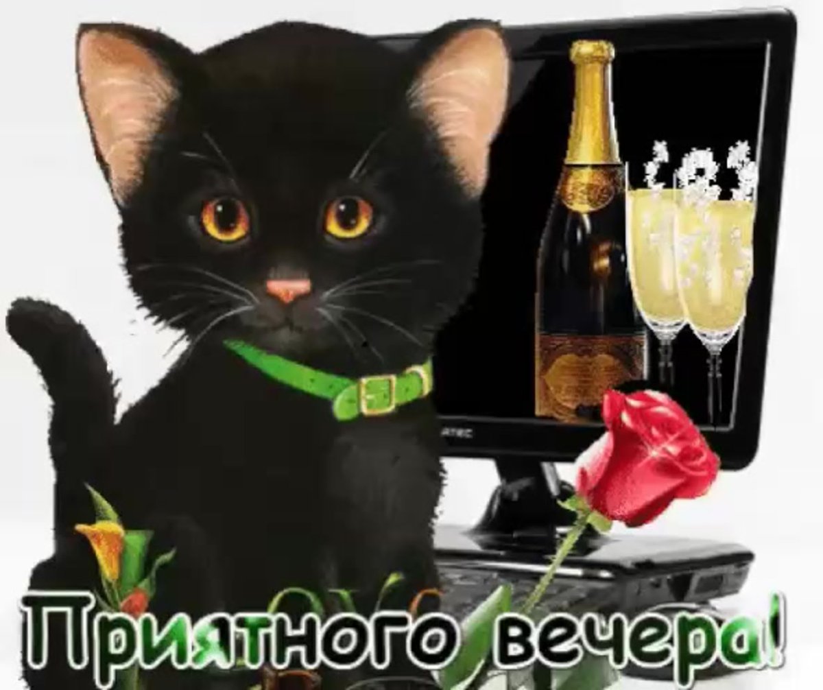 Уютные зимние иллюстрации