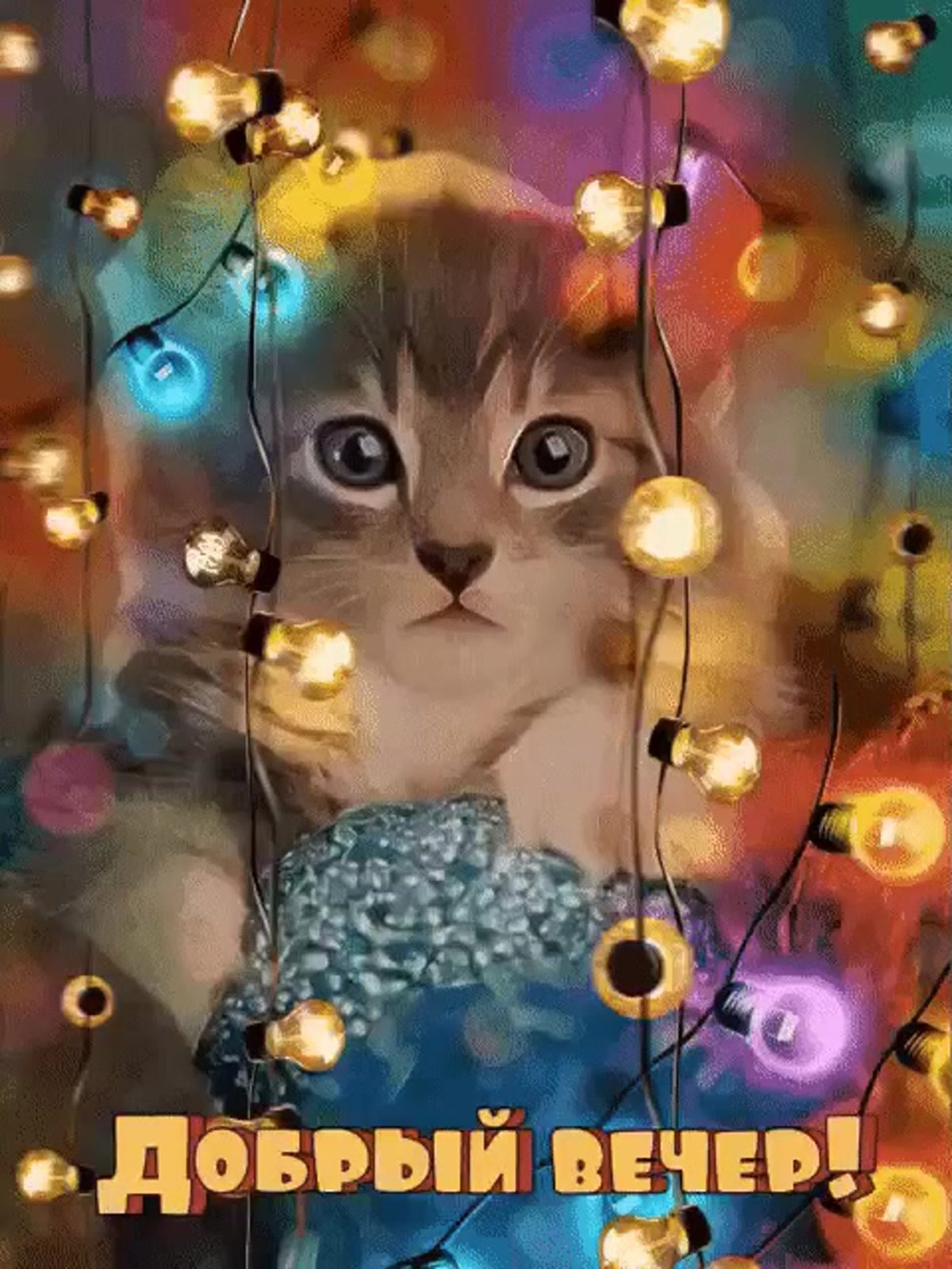 Прикольные пожелания доброго вечера