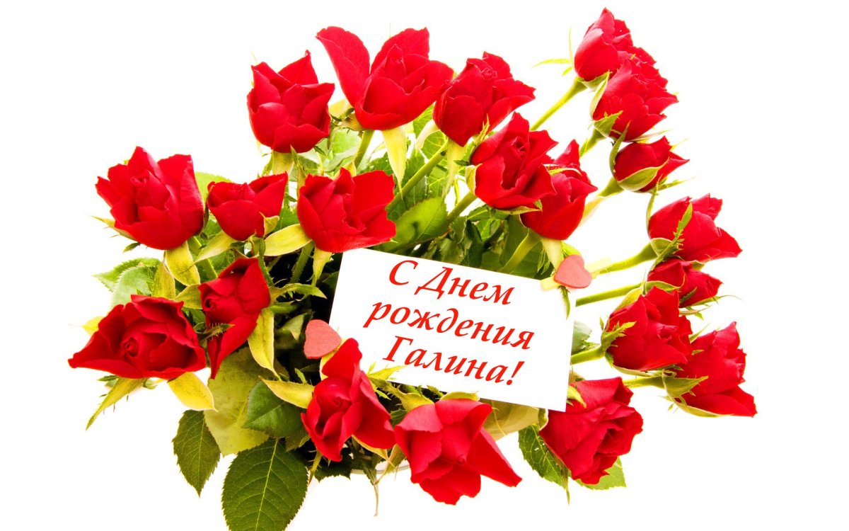 С днём рождения галочка