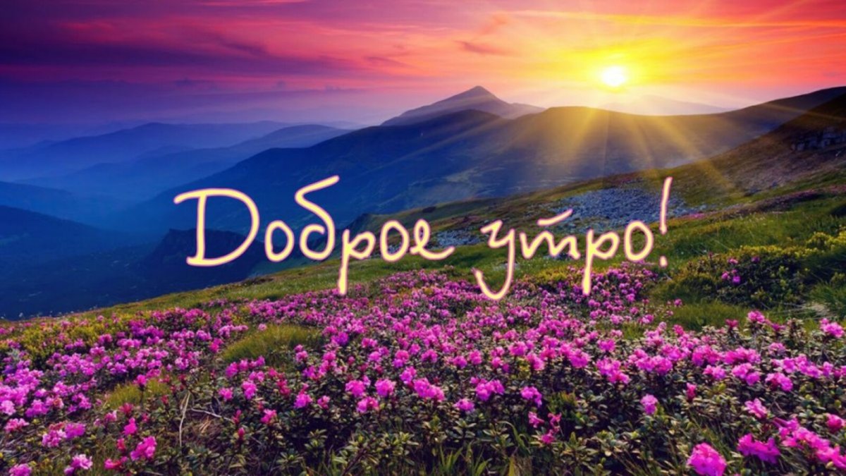 Поздний завтрак в Альпах Эмилия Грин