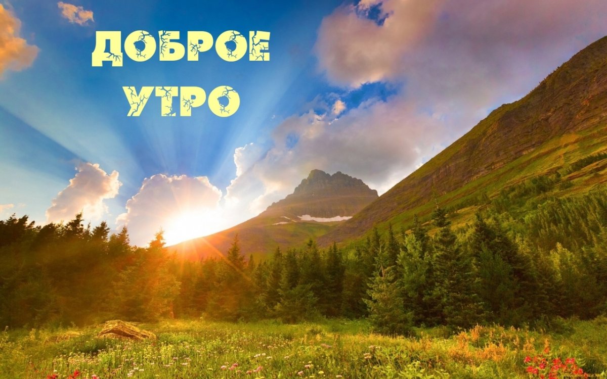 Доброго солнечного дня