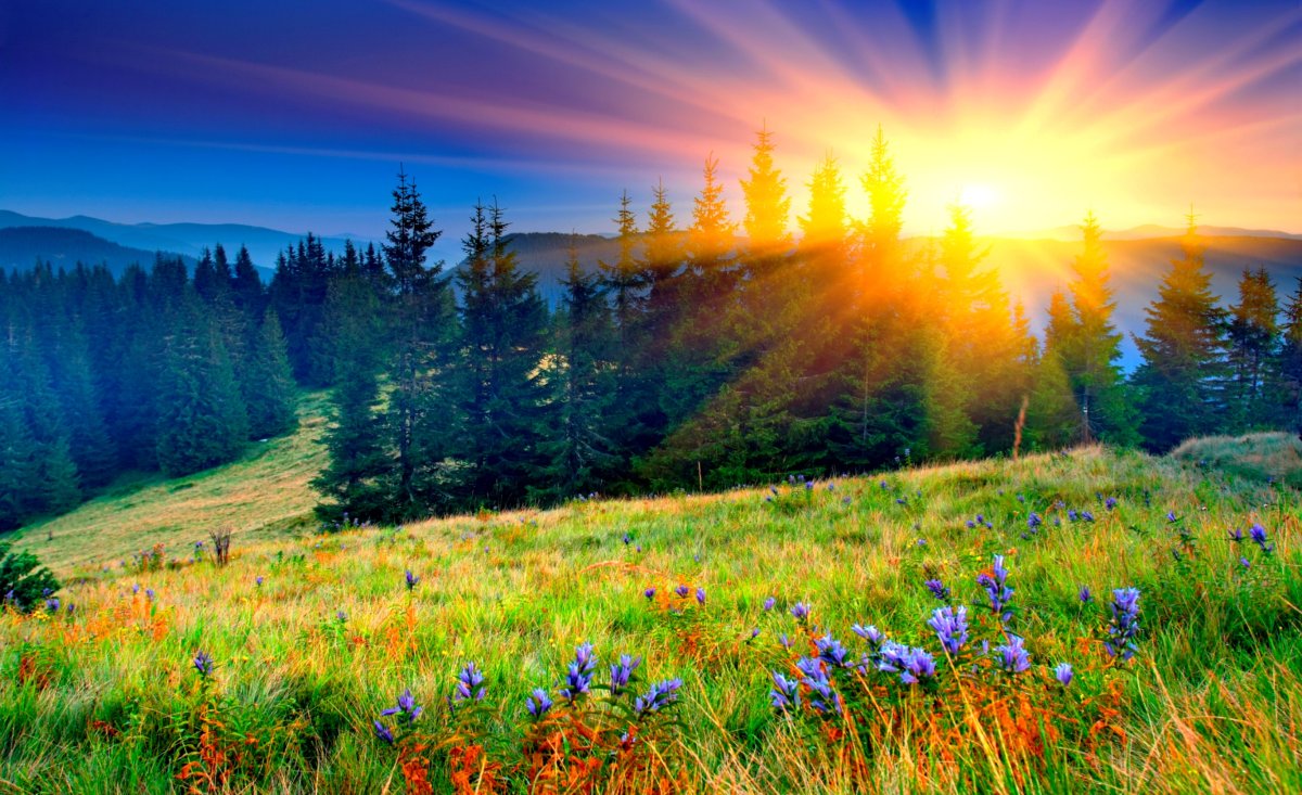 Чаепитие в горах