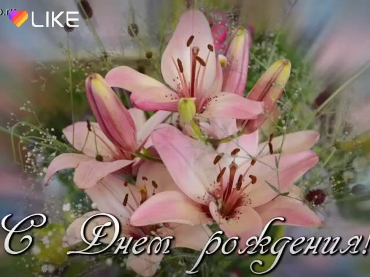 Поздравить Нелю с днем рождения