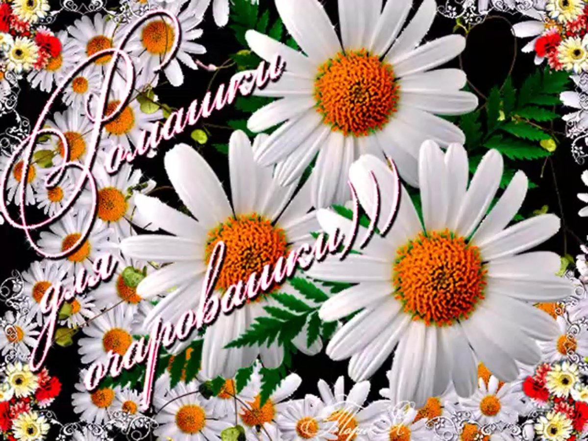 Поздравления с днём рождения женщине