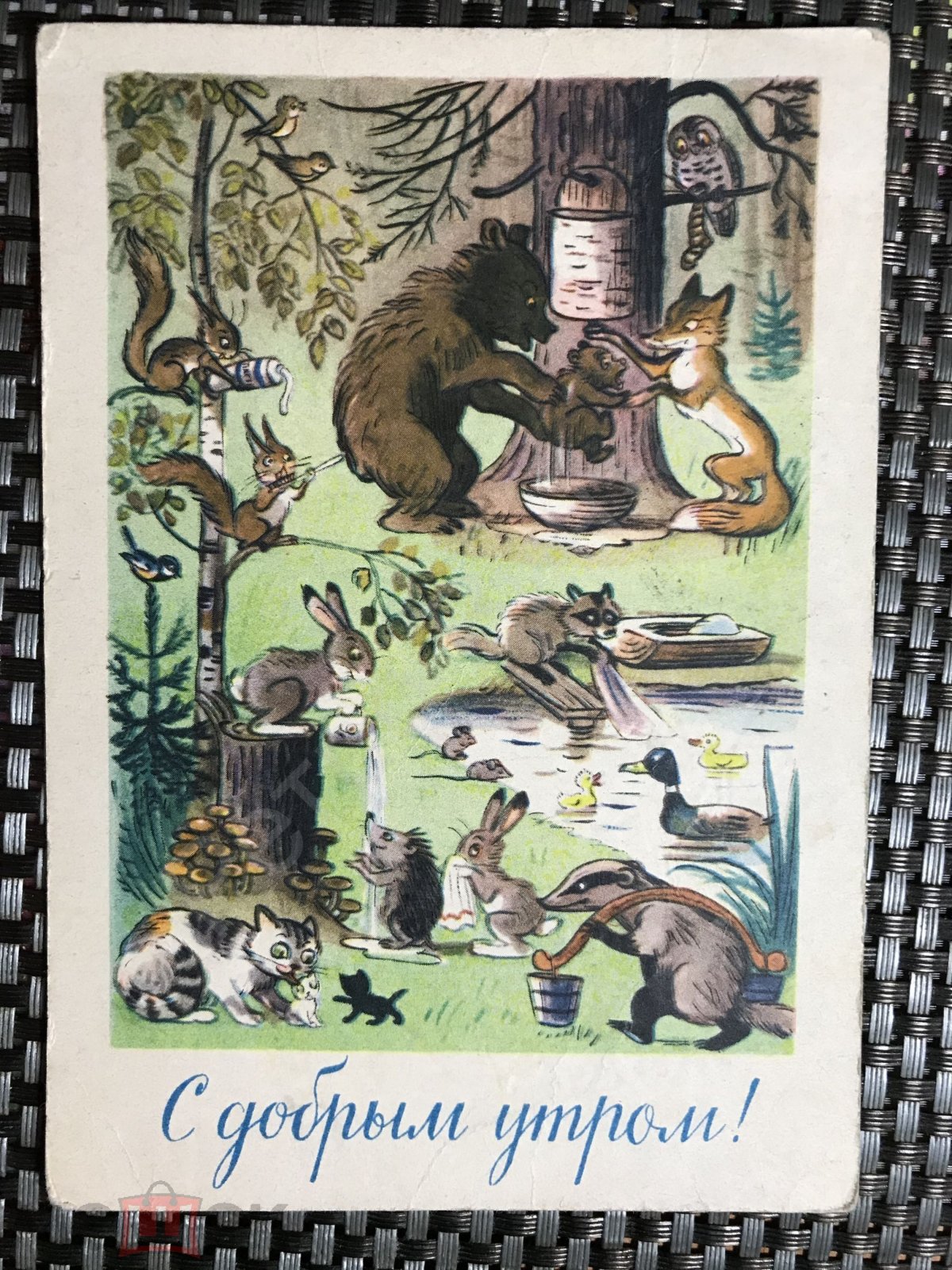 Советские иллюстрации с животными