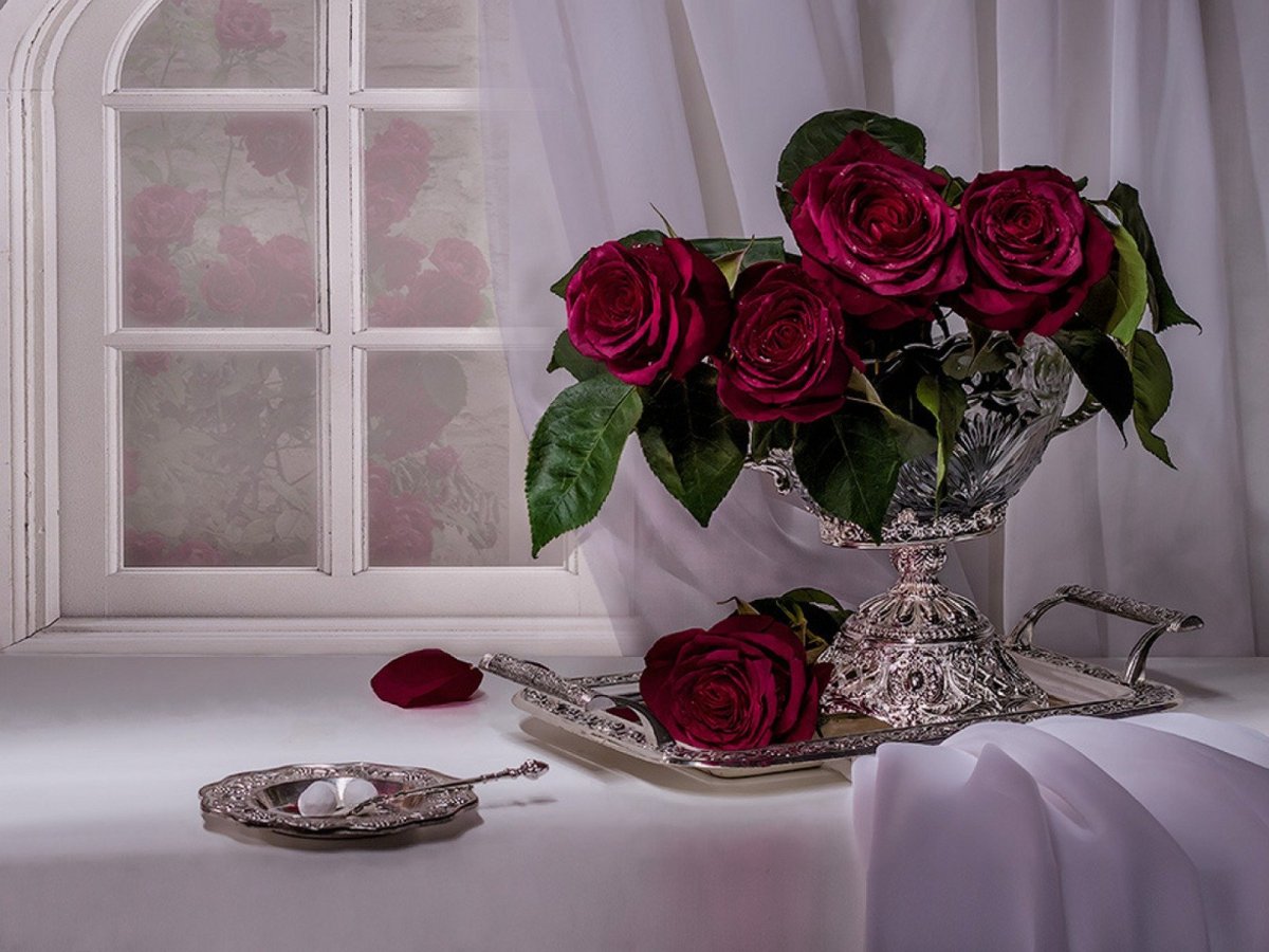 Доброго вечера и спокойной ночи