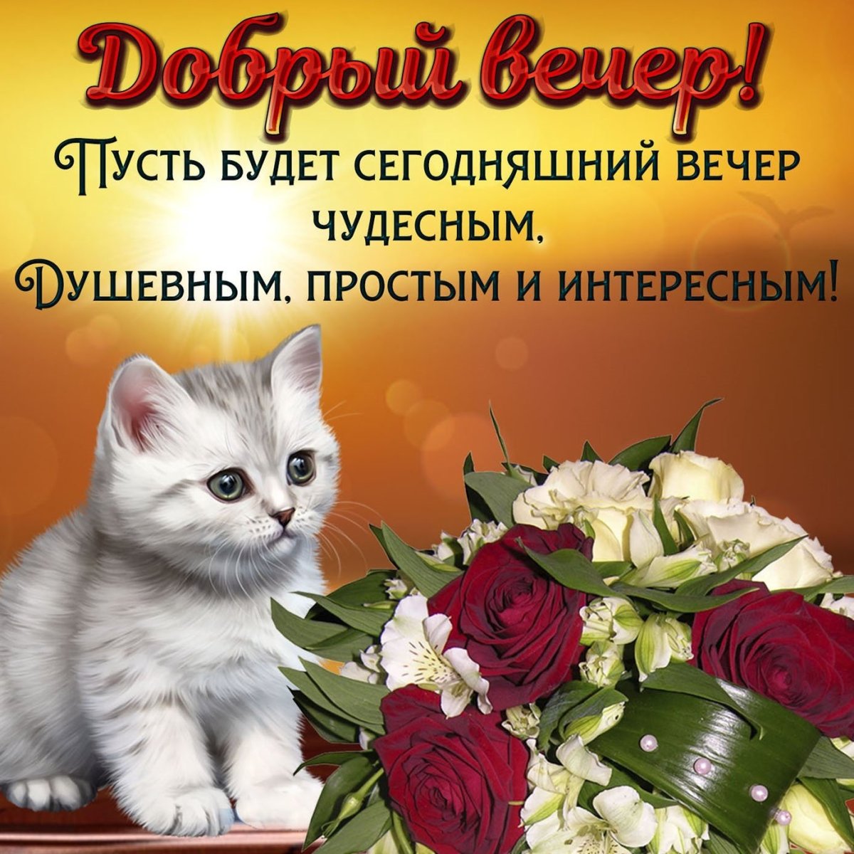 Цветы с пожеланием спокойной ночи