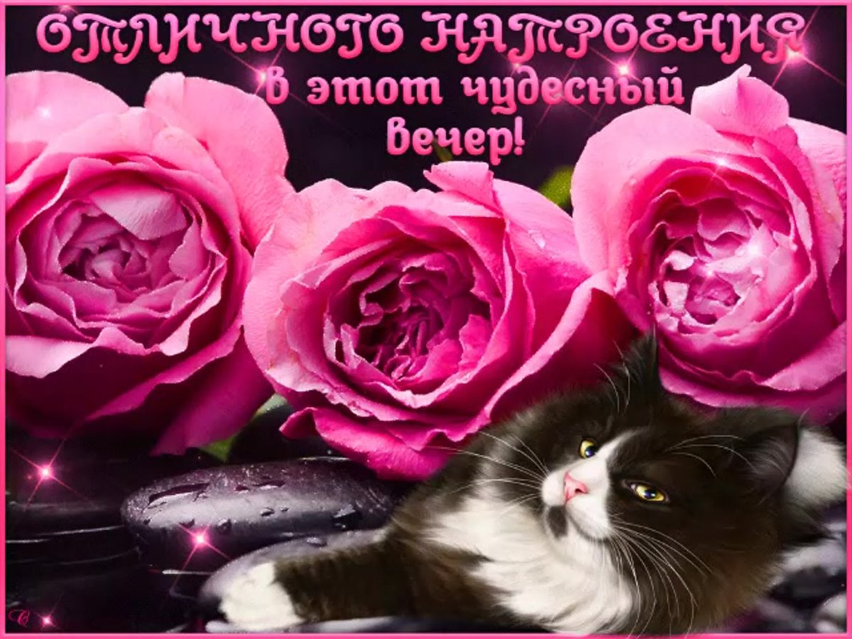 Открытки добрый вечер