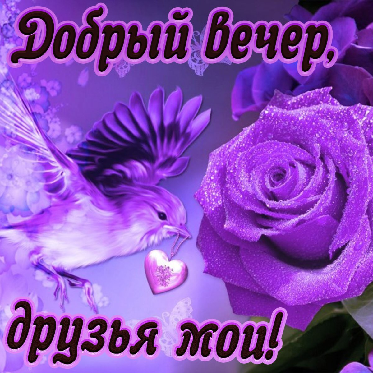Красивые поздравления с добрым вечером