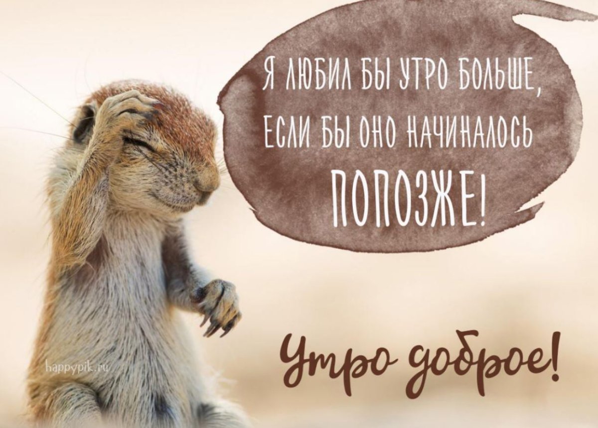 С добрым утром прикольные