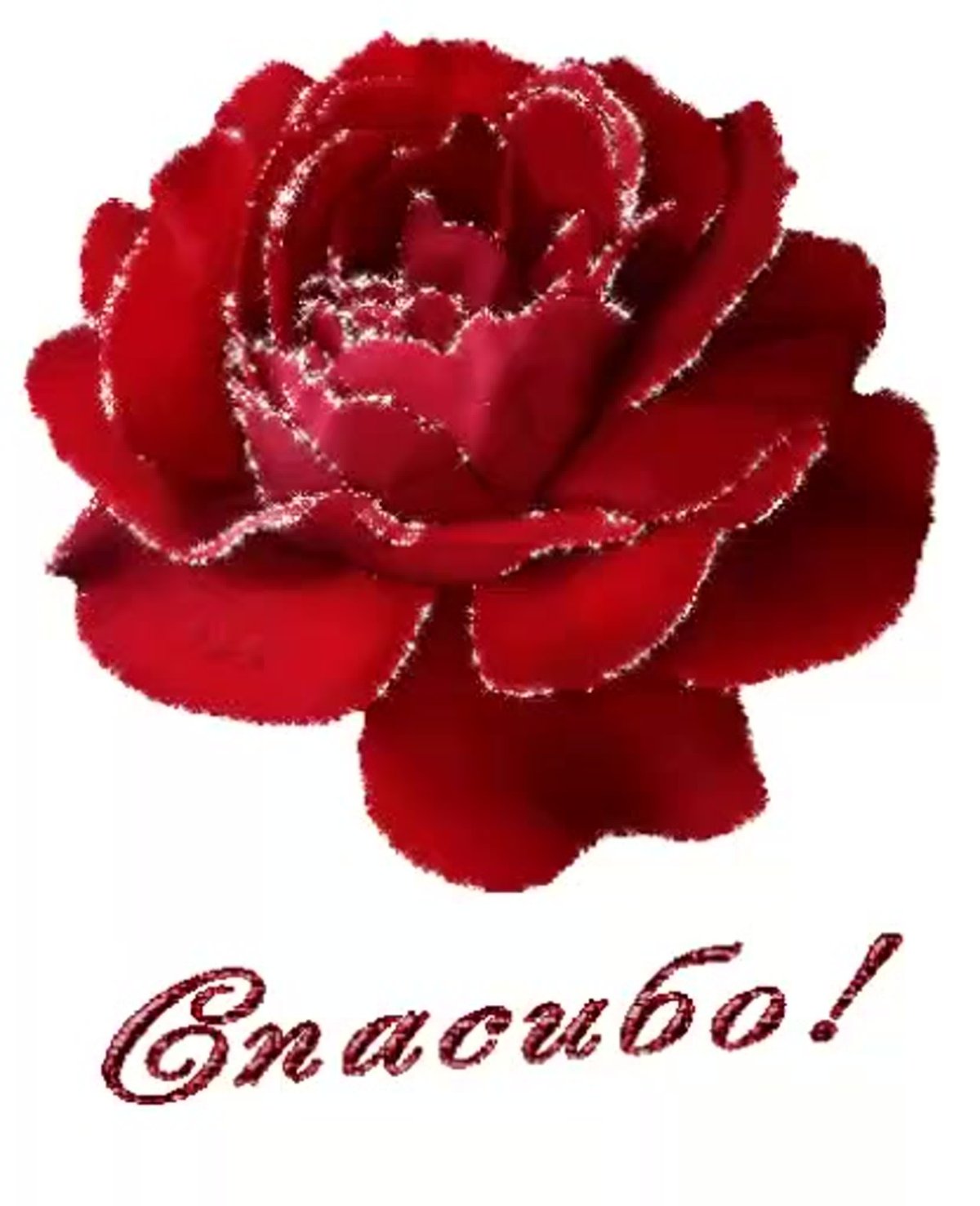 Открытки спасибо большое