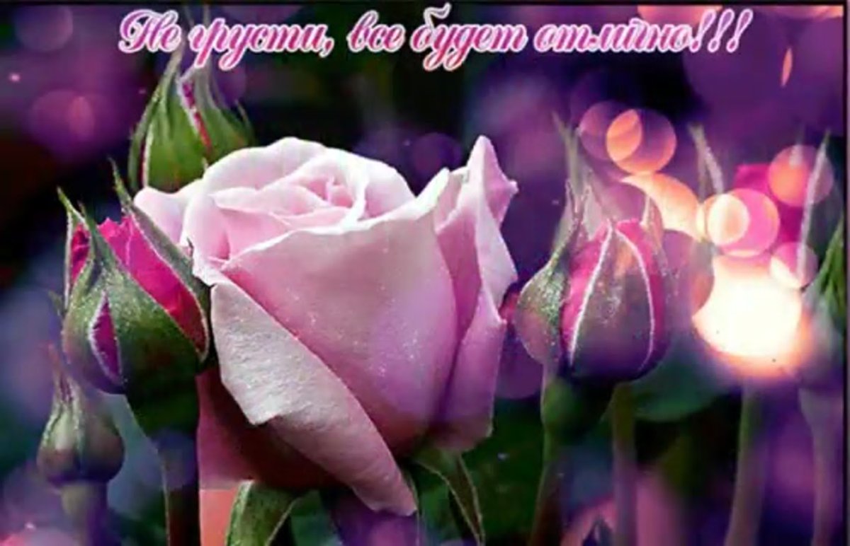 Мерцающие открытки с пожеланиями