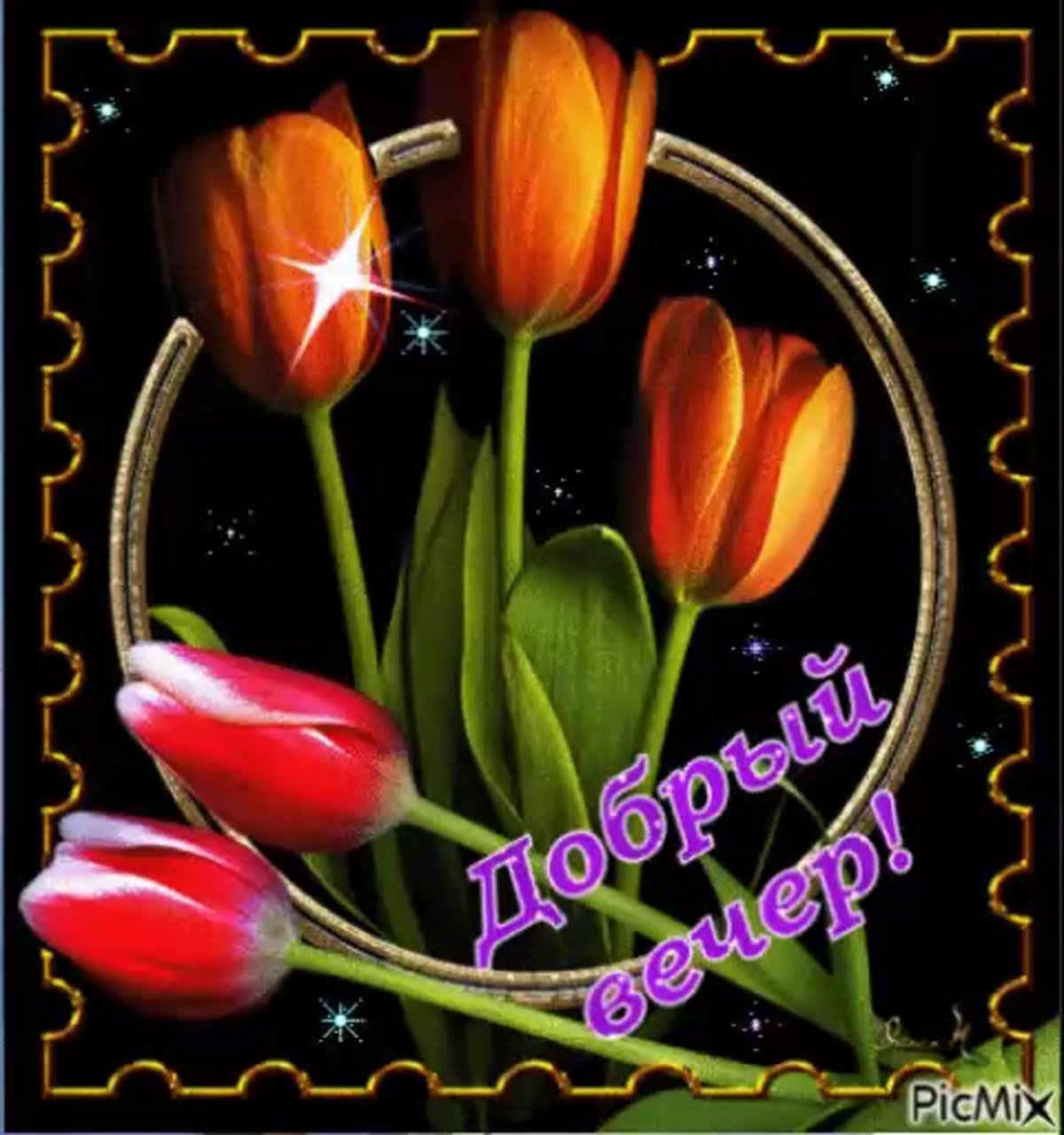 Букеты тюльпанов анимационные