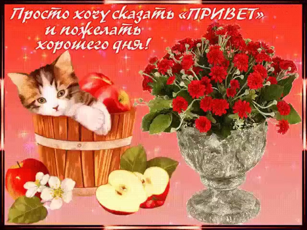 Пожелания доброго дня