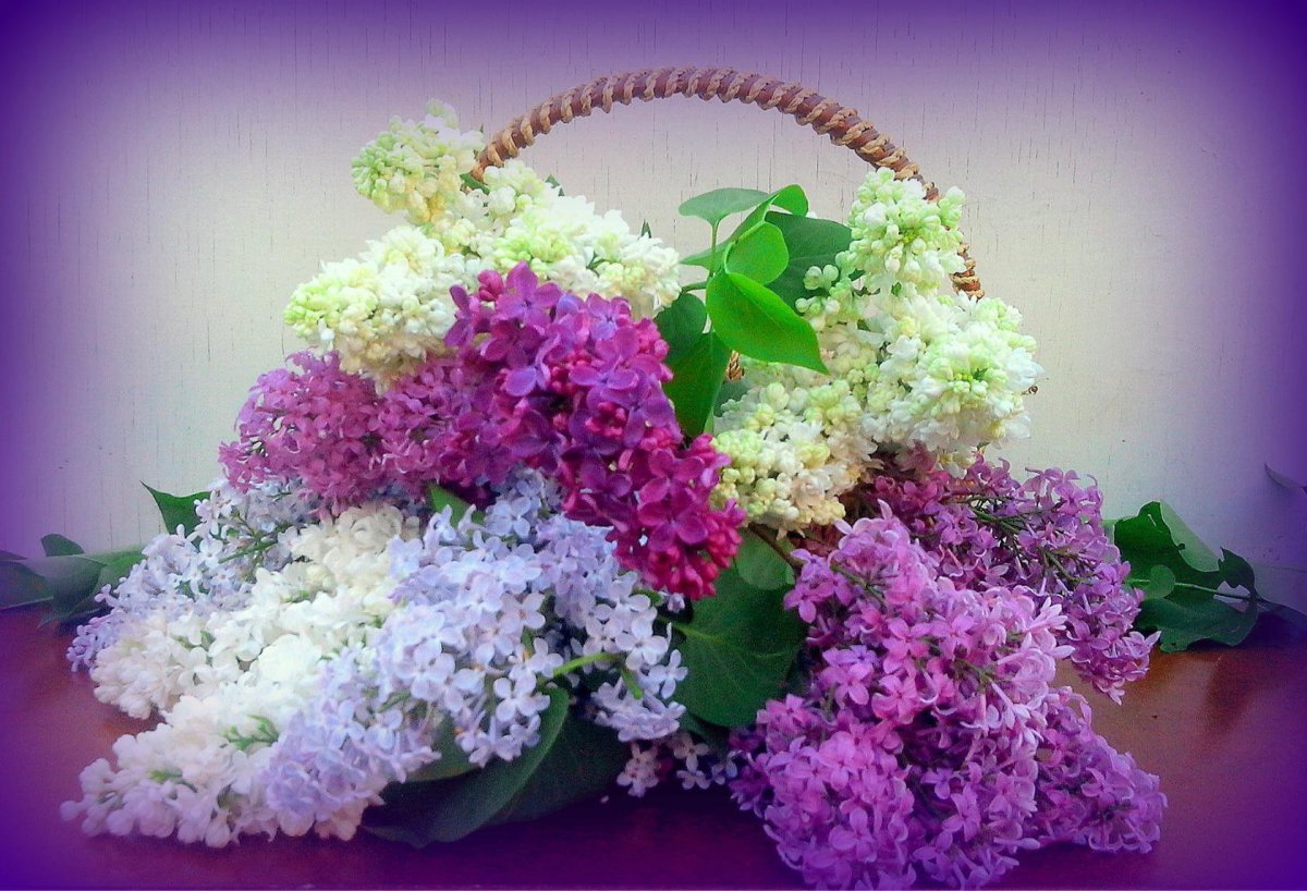 Чудесного дня и ярких впечатлений