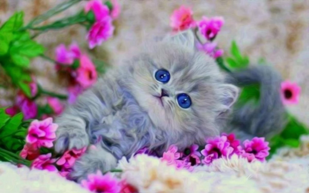 Милые котята с цветочками