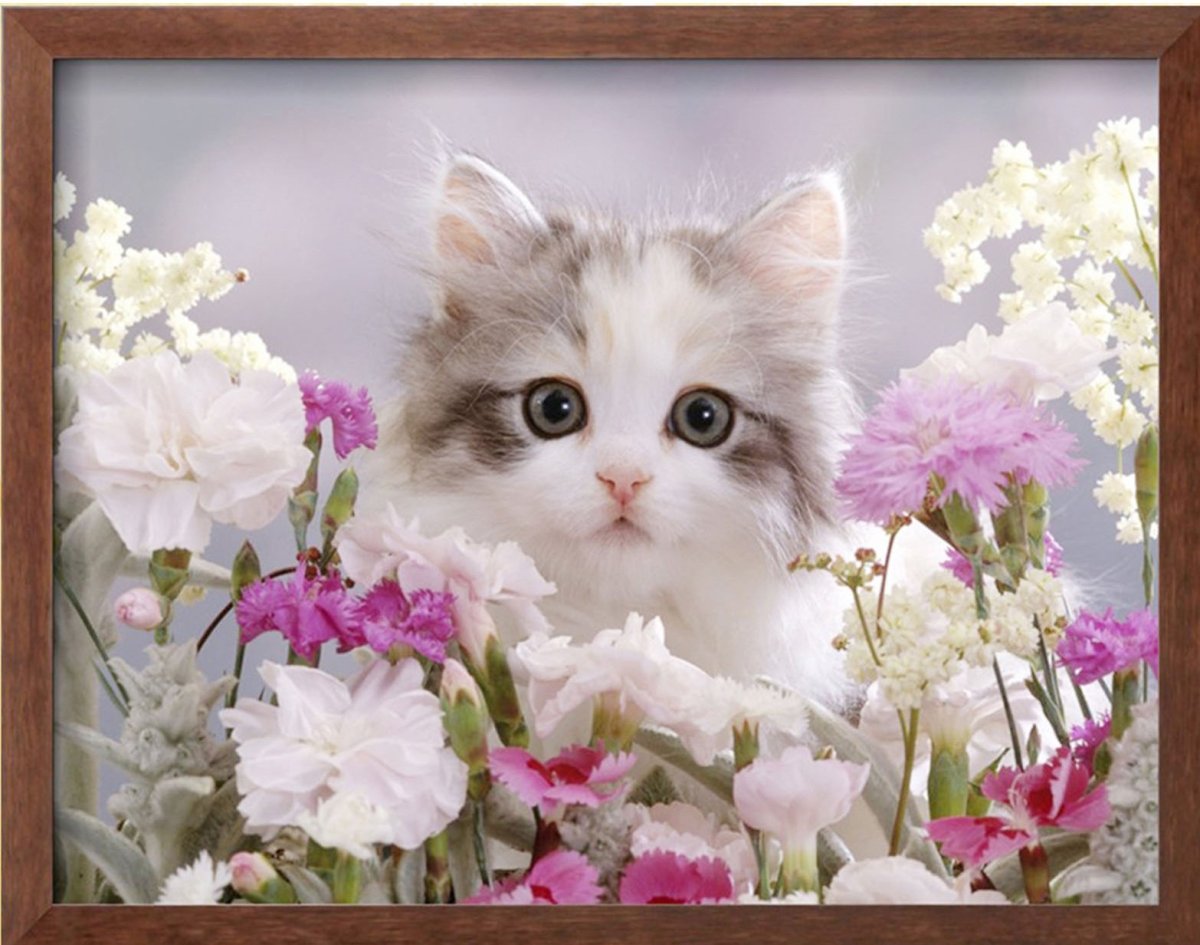 Красивые котята в цветах