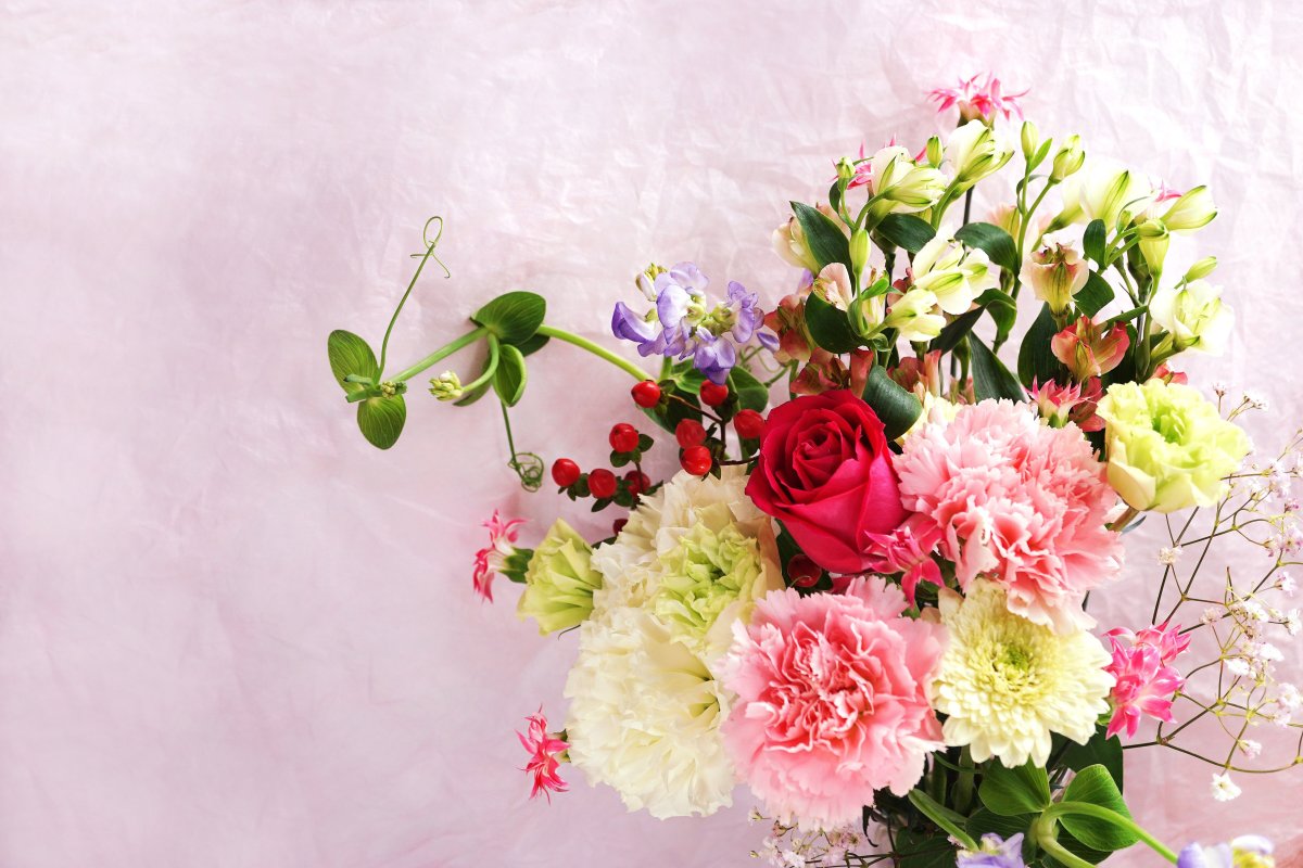 Розы и гвоздики