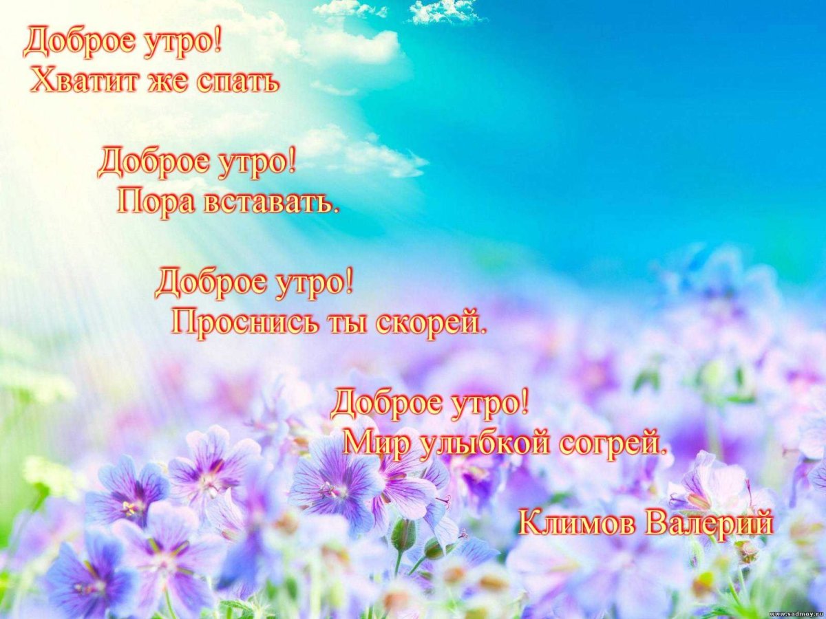Стихи с добрым утром