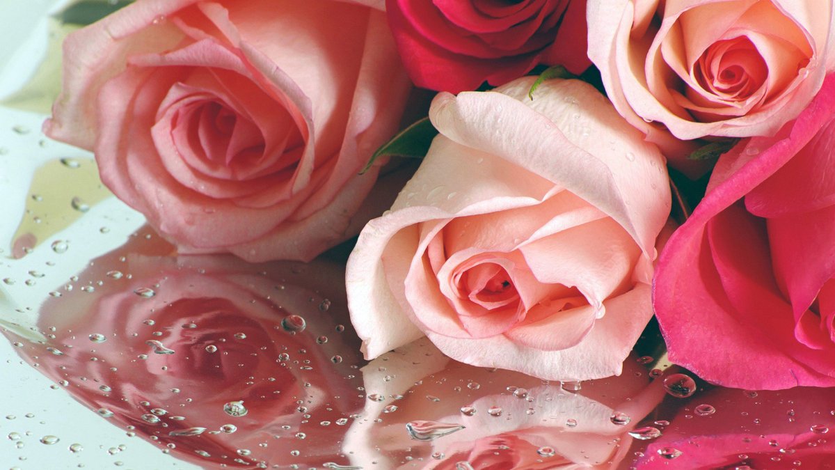 Поздравления с днём рождения Марии