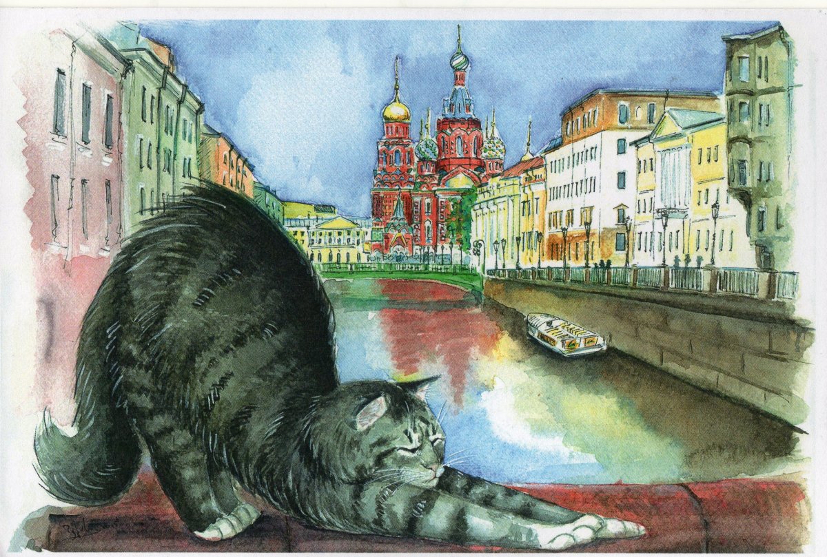 Петербургские коты Чурова