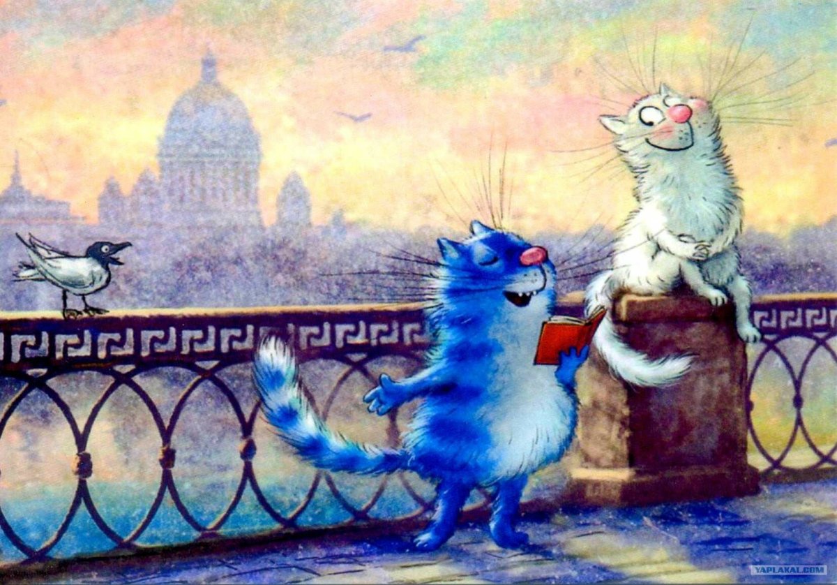 Коты Ирины Зенюк Петербург