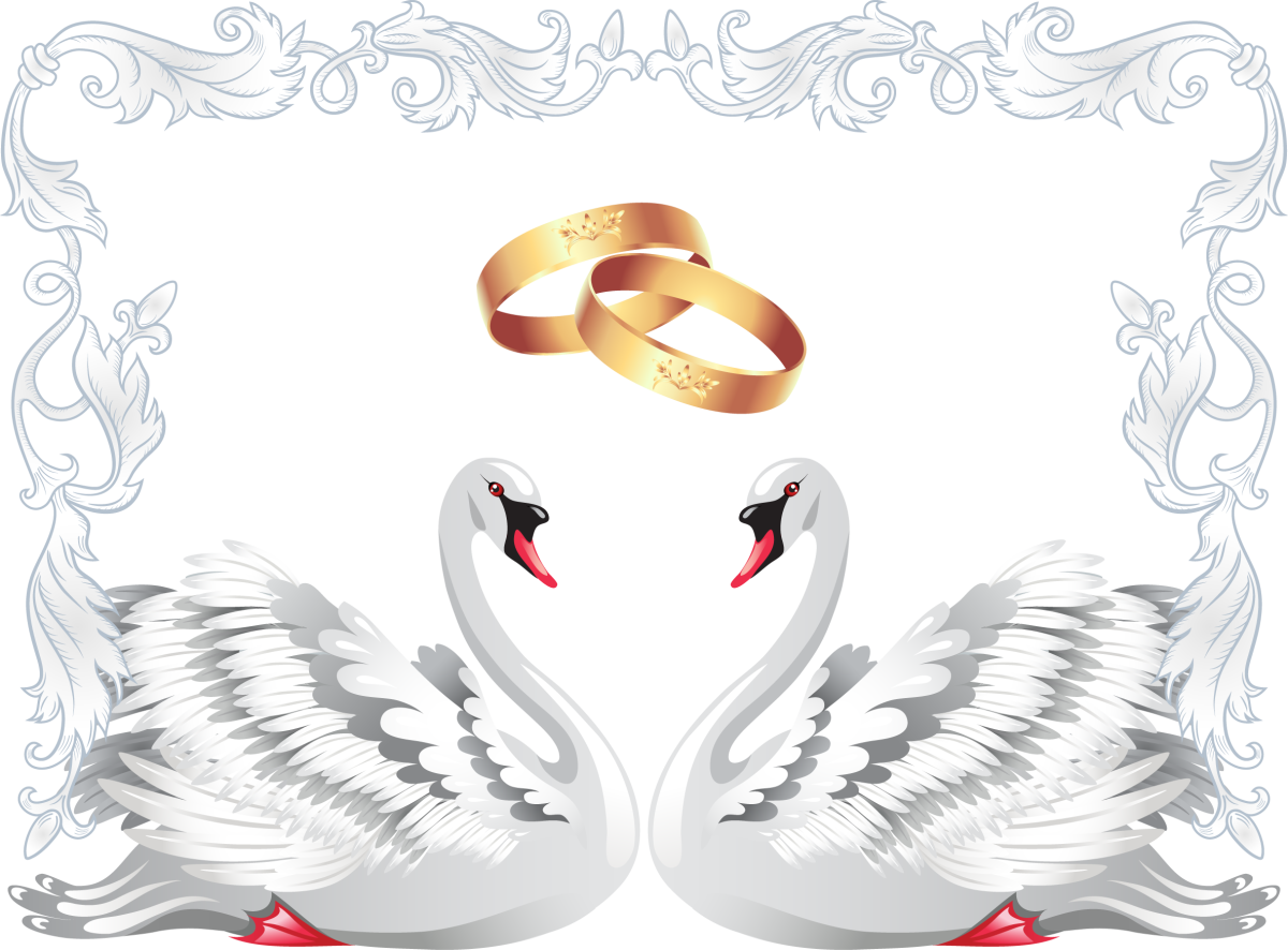 Бирка на пакет подарочный