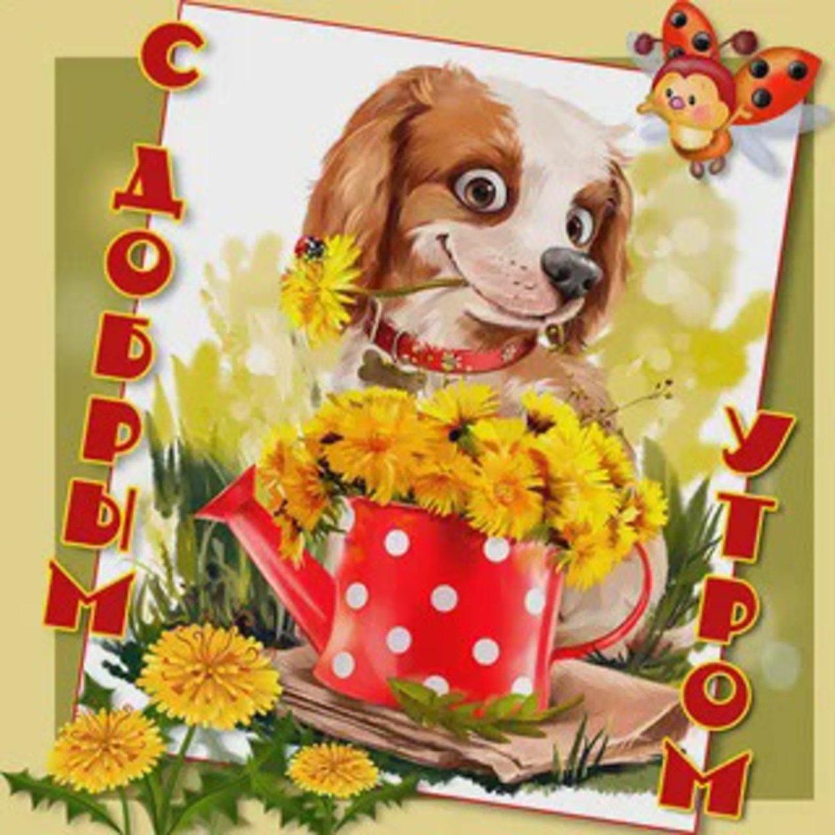 Открытки с добрым