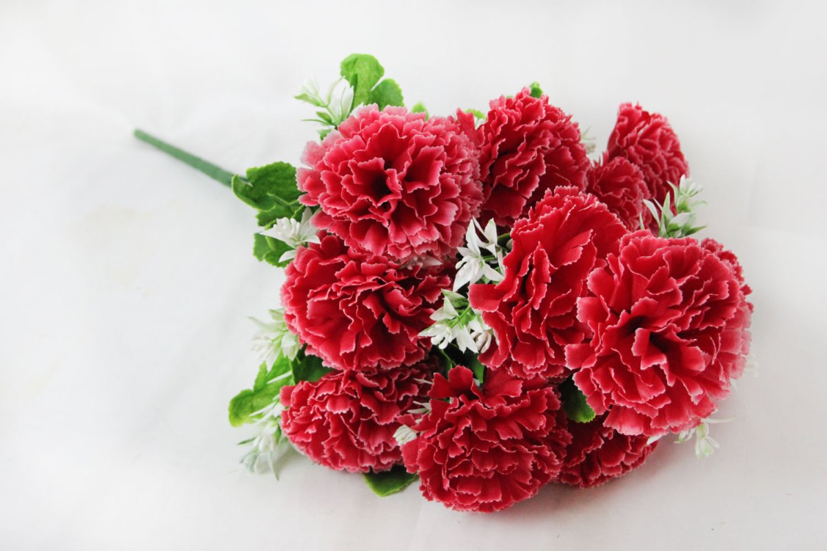 Букет гвоздик