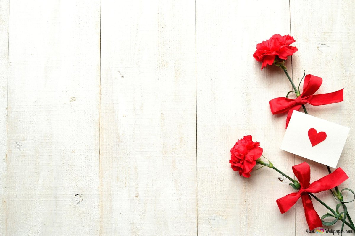 Фотофон с красными цветами