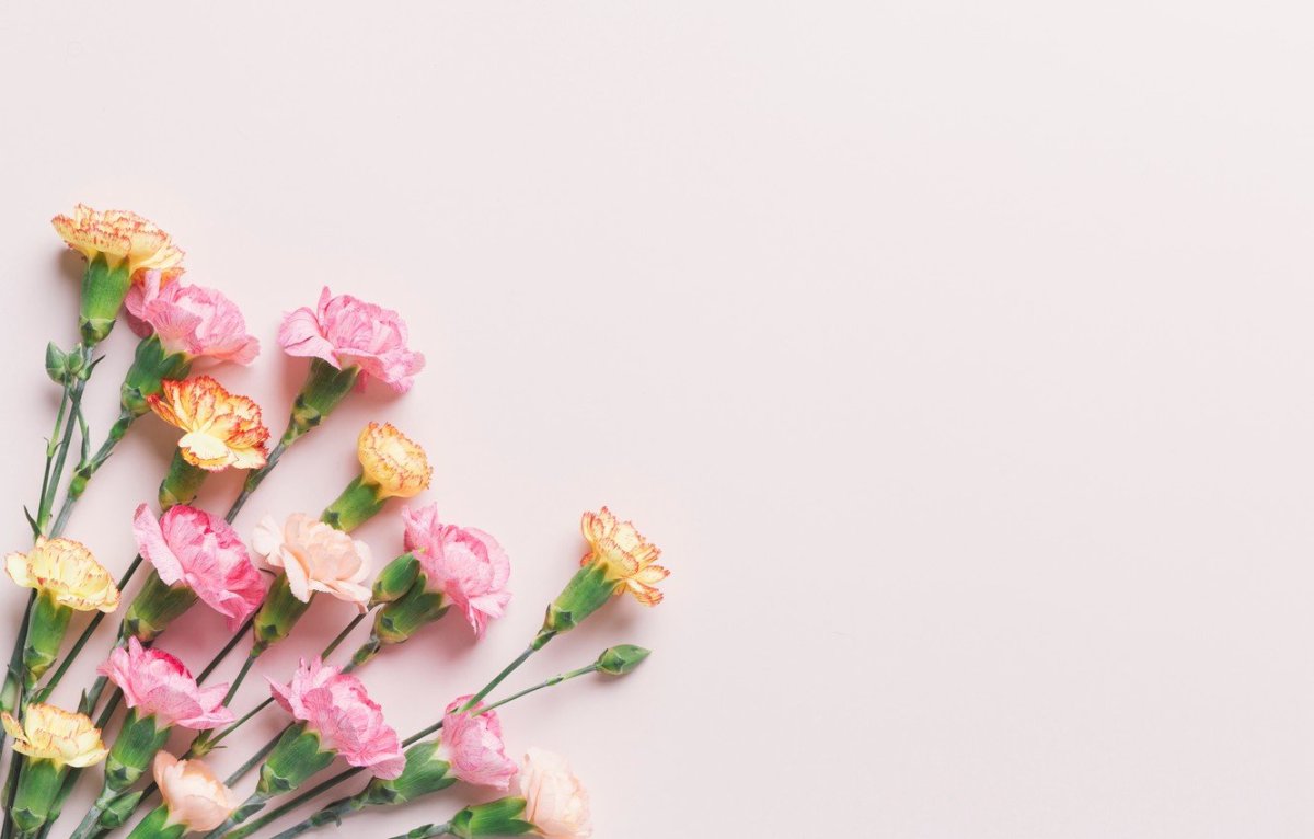 Фон с гвоздиками