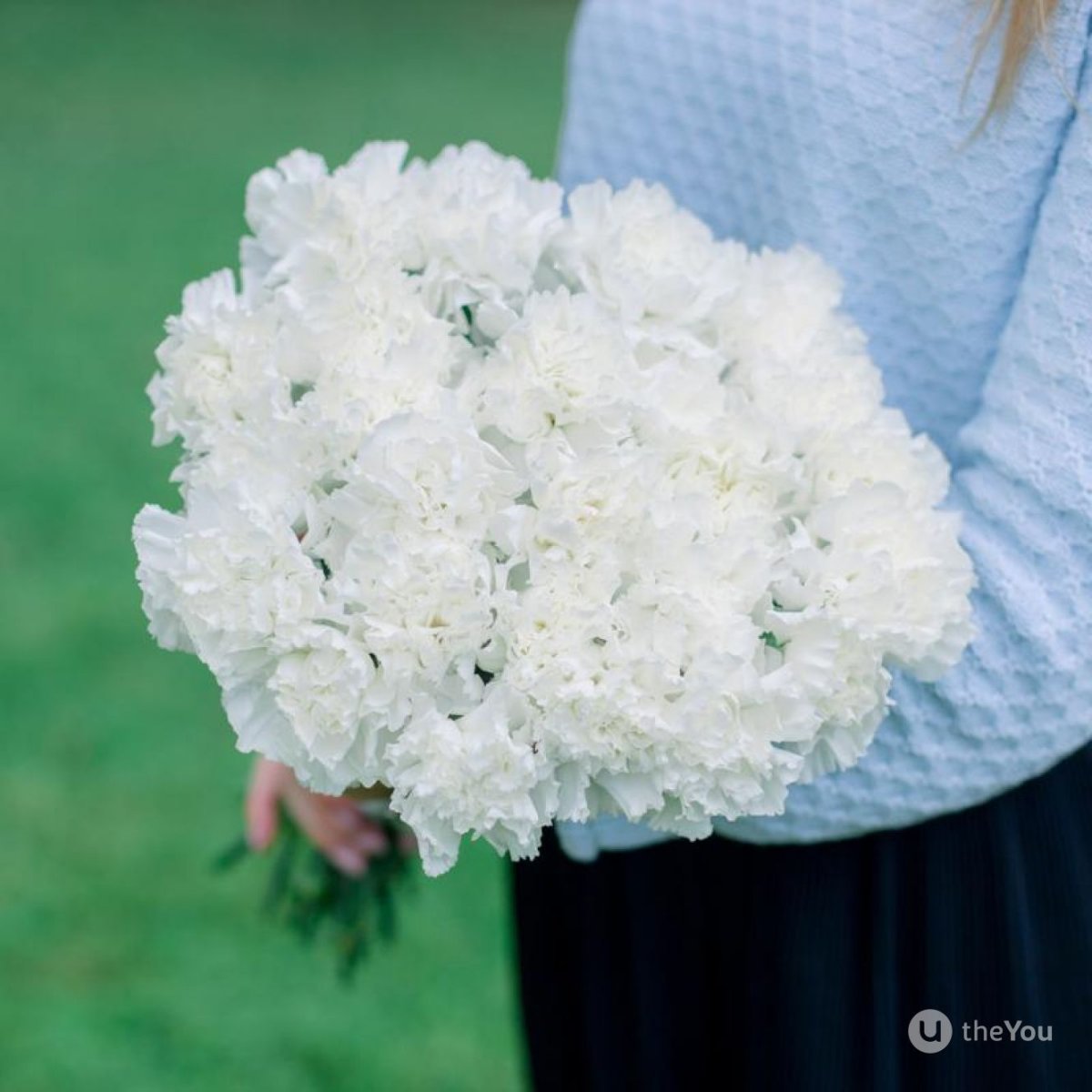 Белые гвоздики