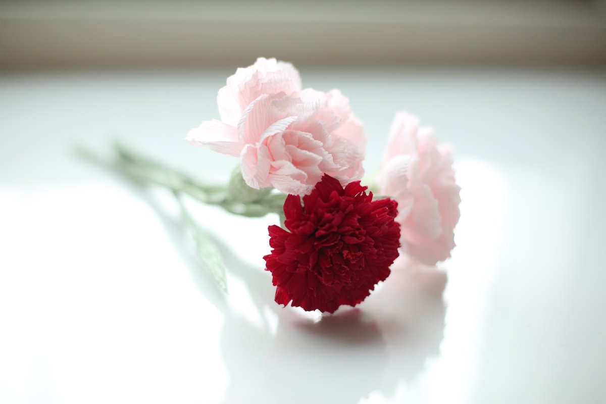 Making a Carnation