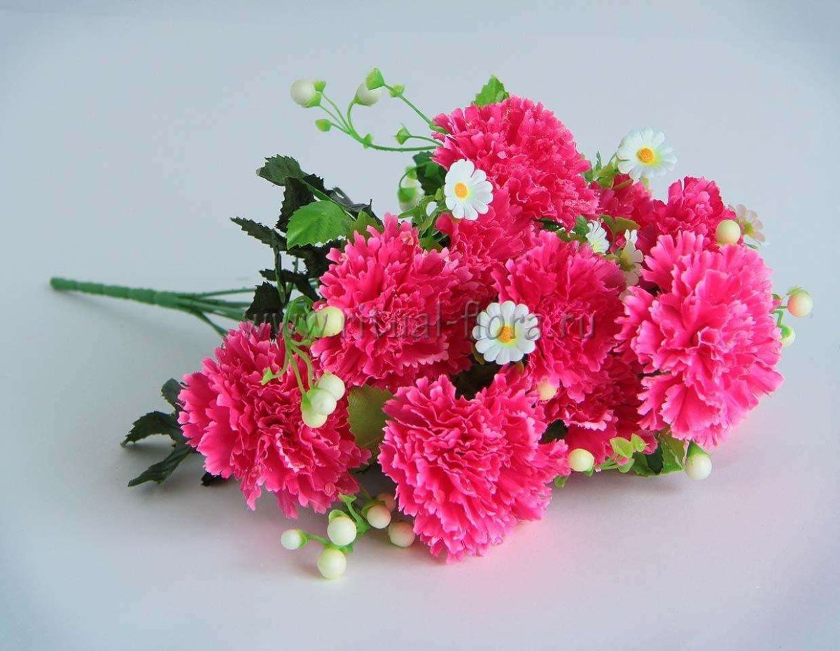 Гвоздика Букетная