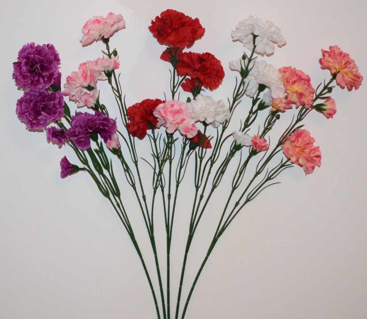 Диантус Лиззи Салмон