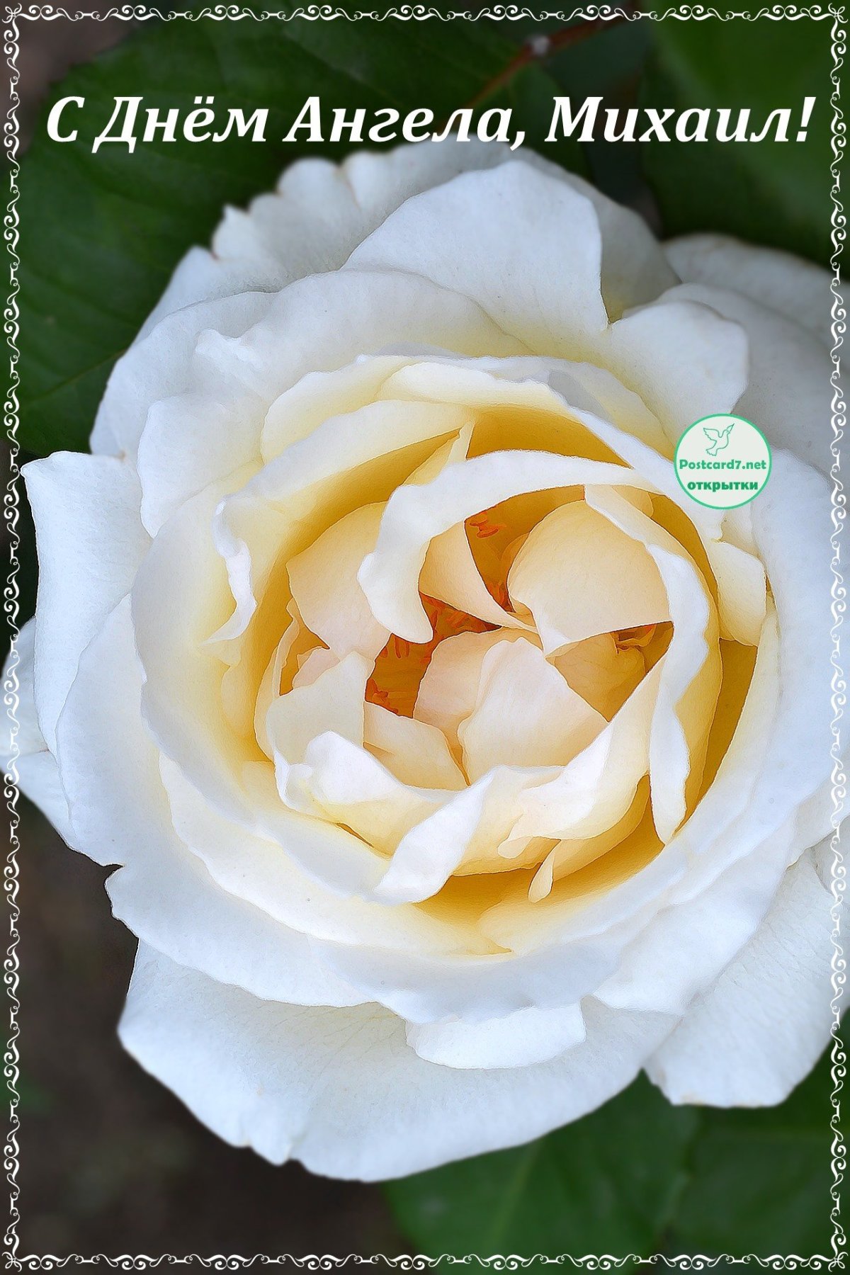 С днём рождения Николаф