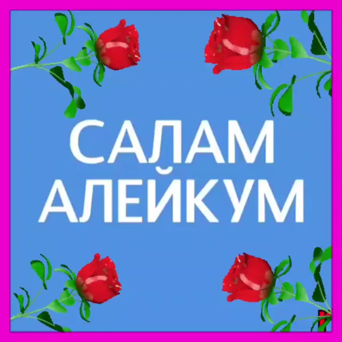 Открытки Салам алейкум