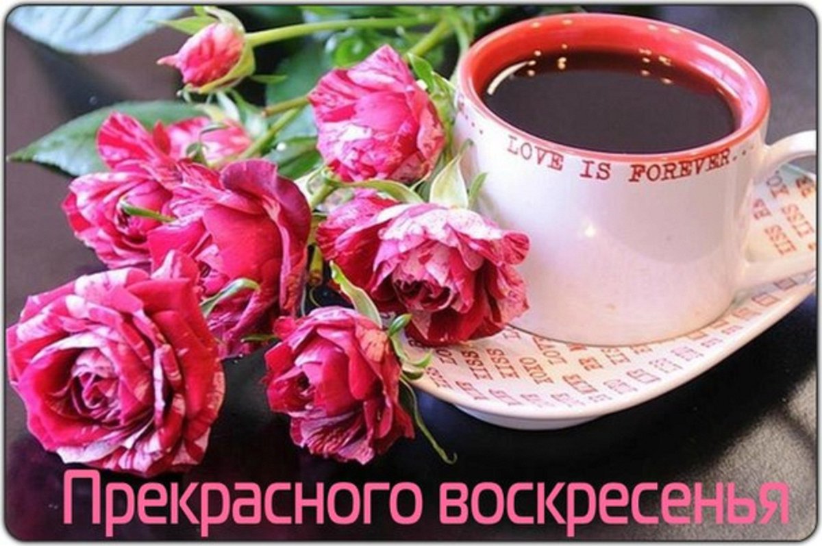 Открытки с добрым утром цветы