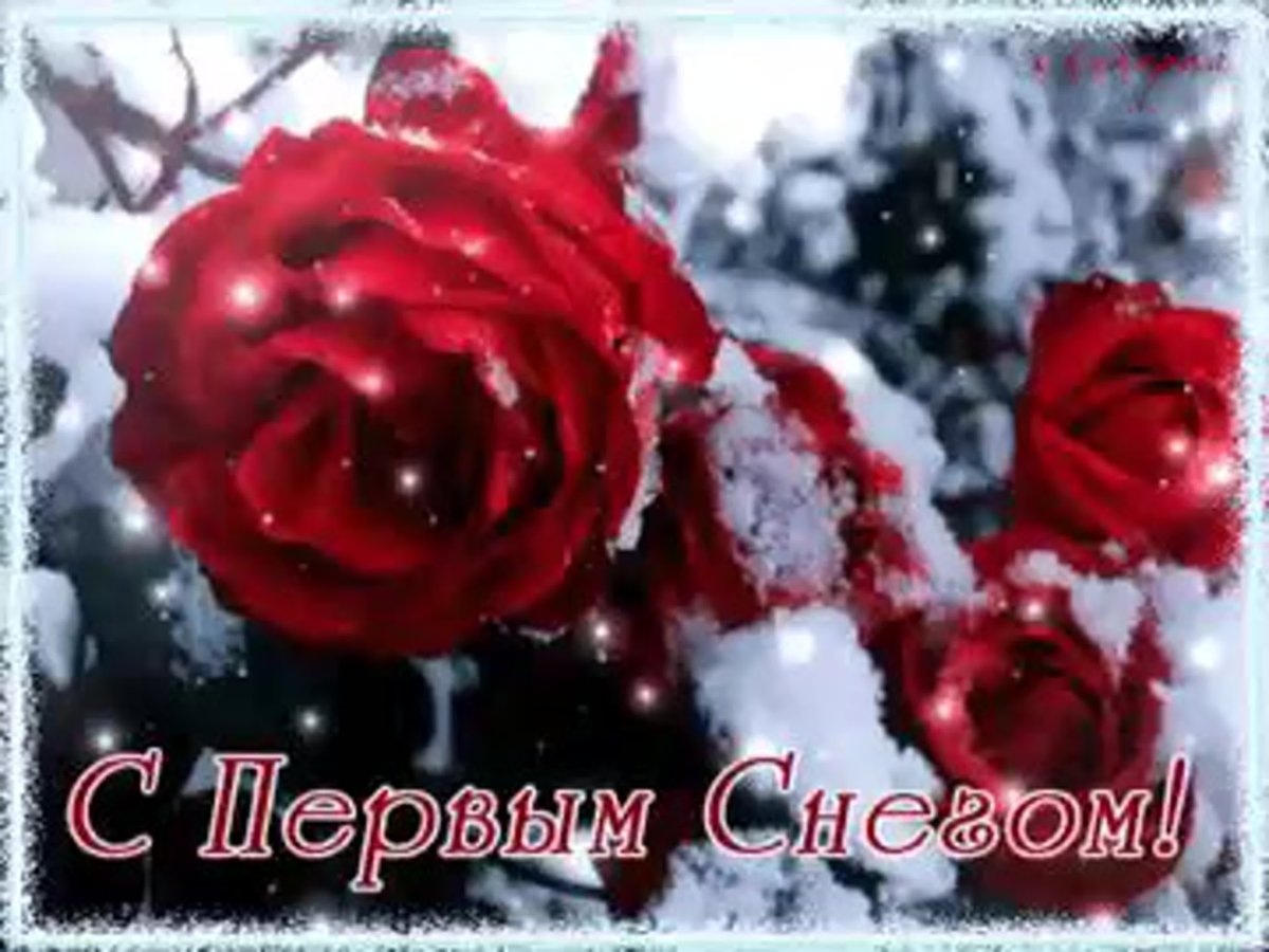 Доброго зимнего дня прикольные