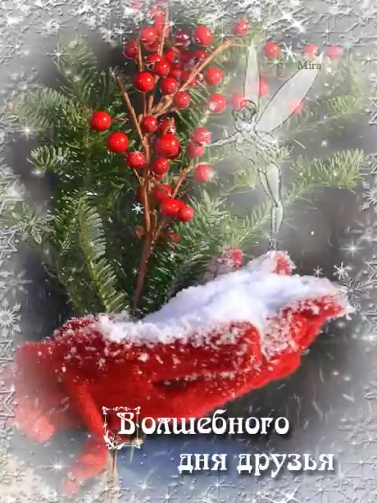 Цветы для хорошего зимнего настроения