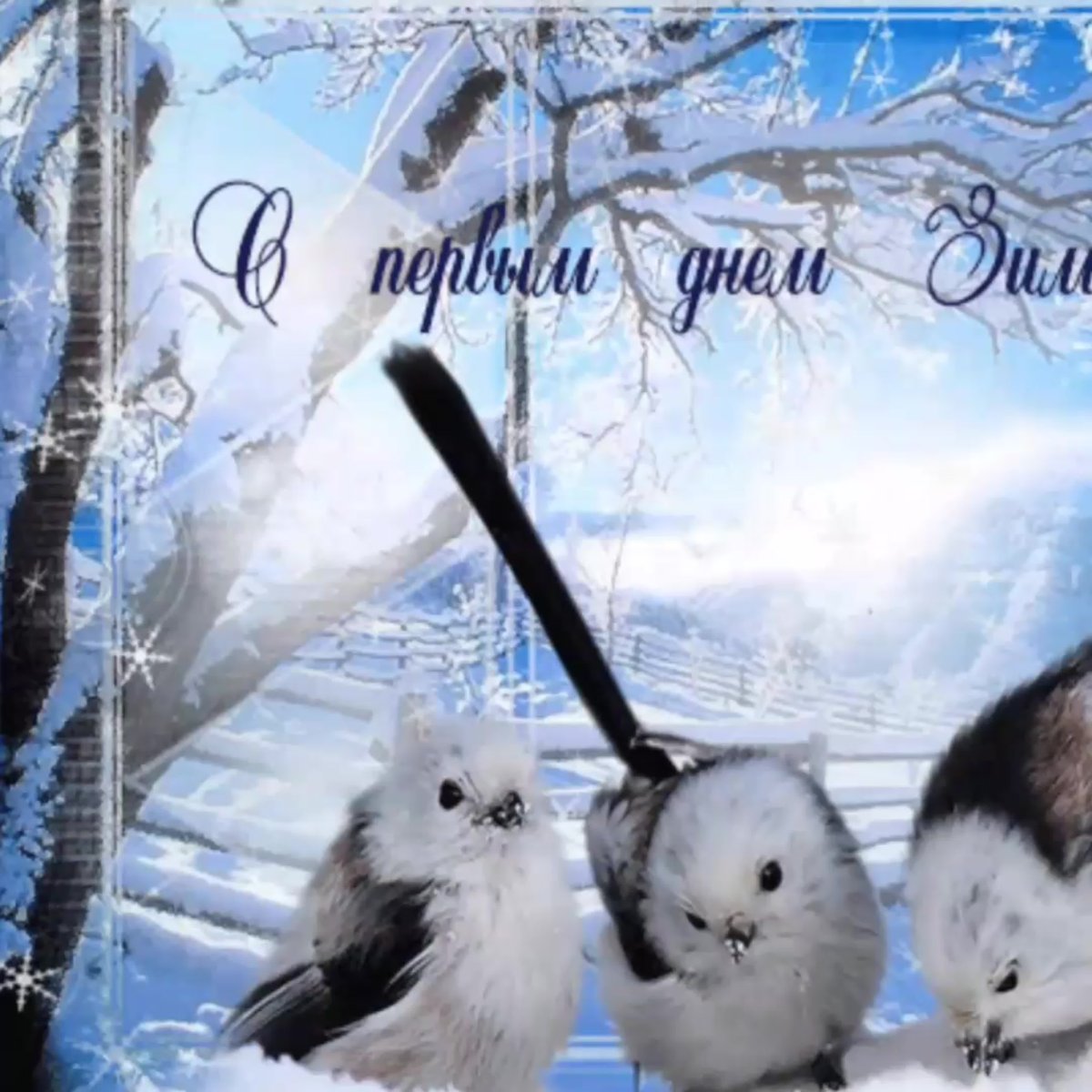 Красивые зимние поздравления