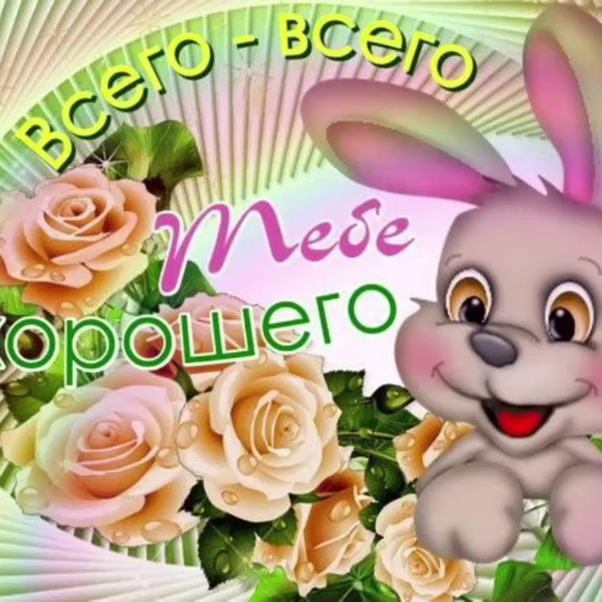 Смешные открытки просто так