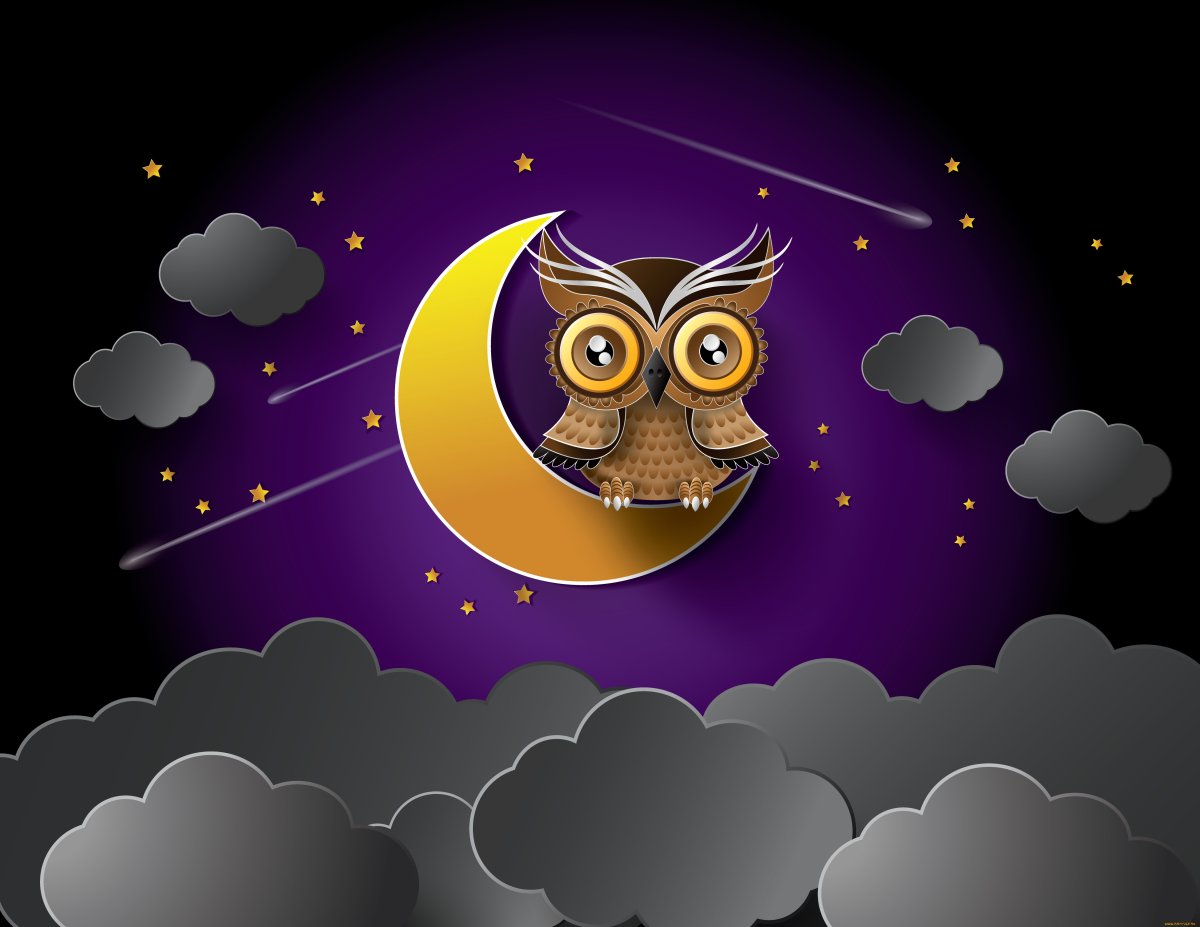 Совушка на фоне Луны