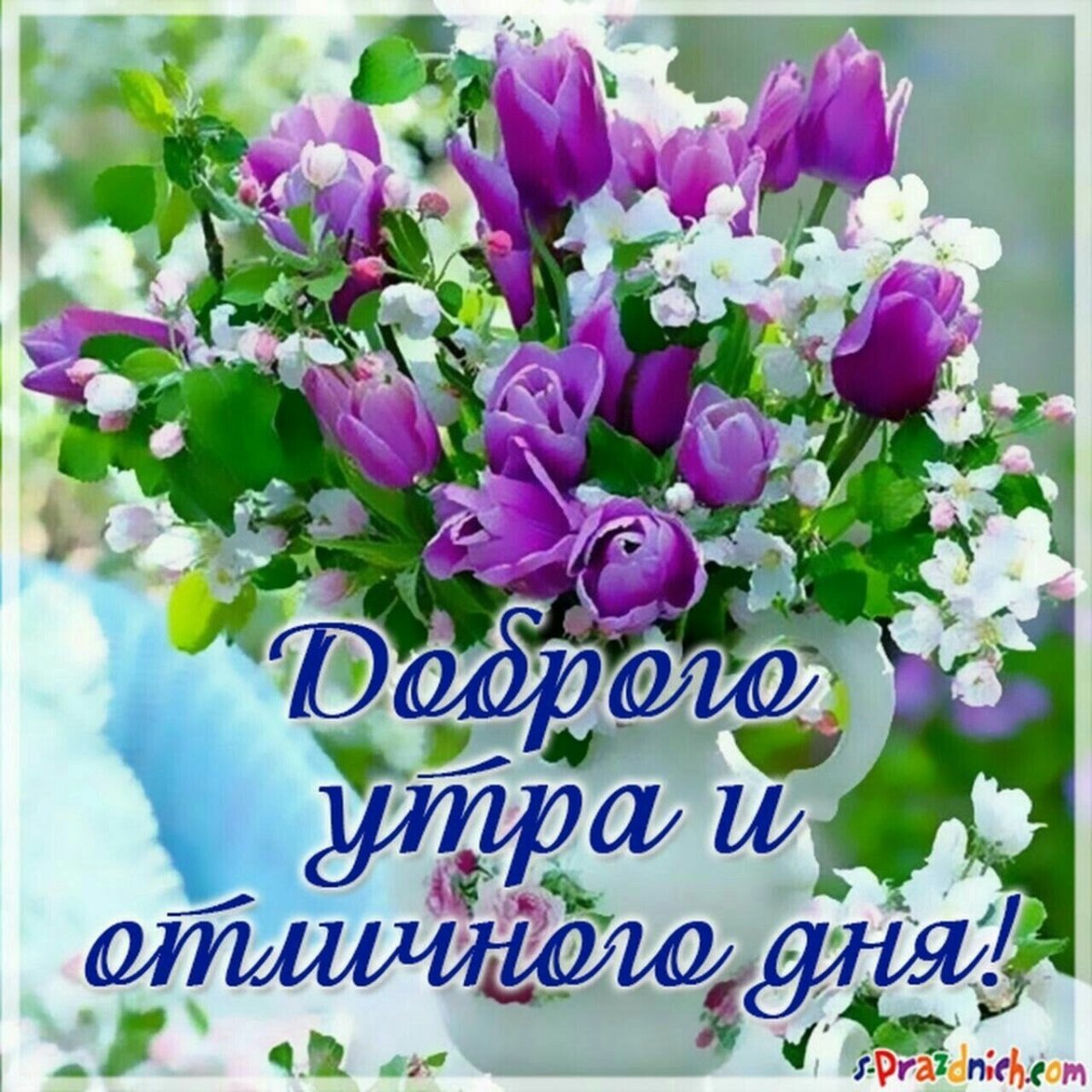 Удачного дня и здоровья