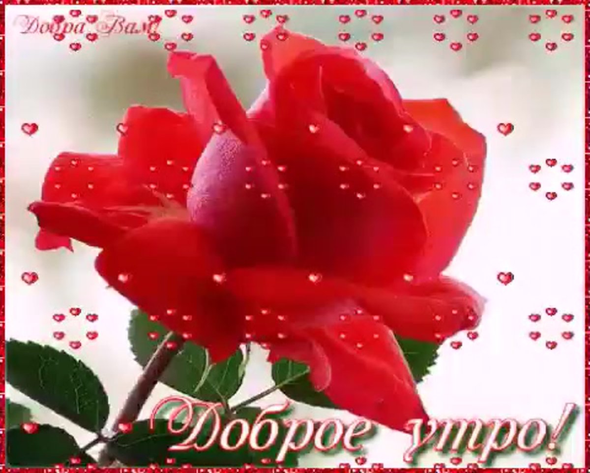 Красивые пожелания с добрым утром