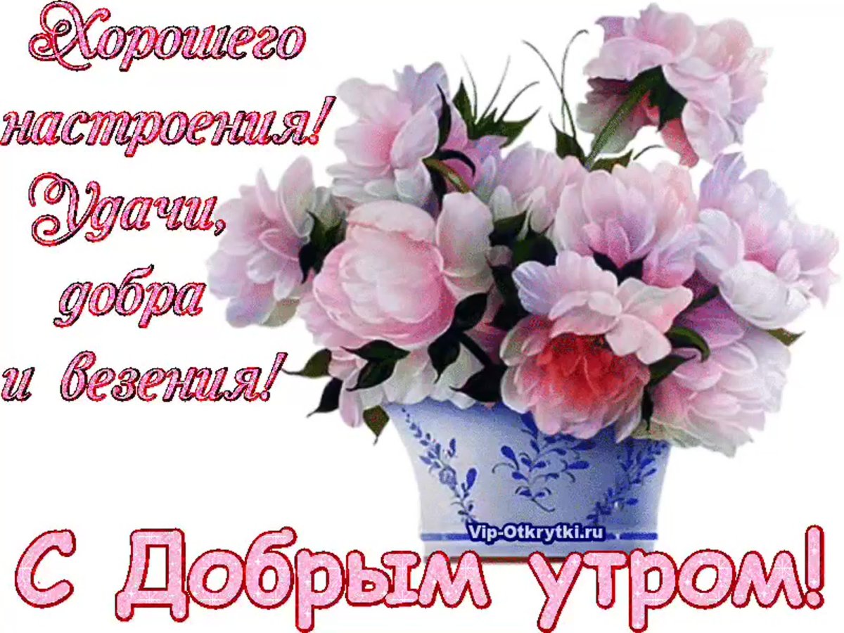 Доброе утро цветы красивые пожелания