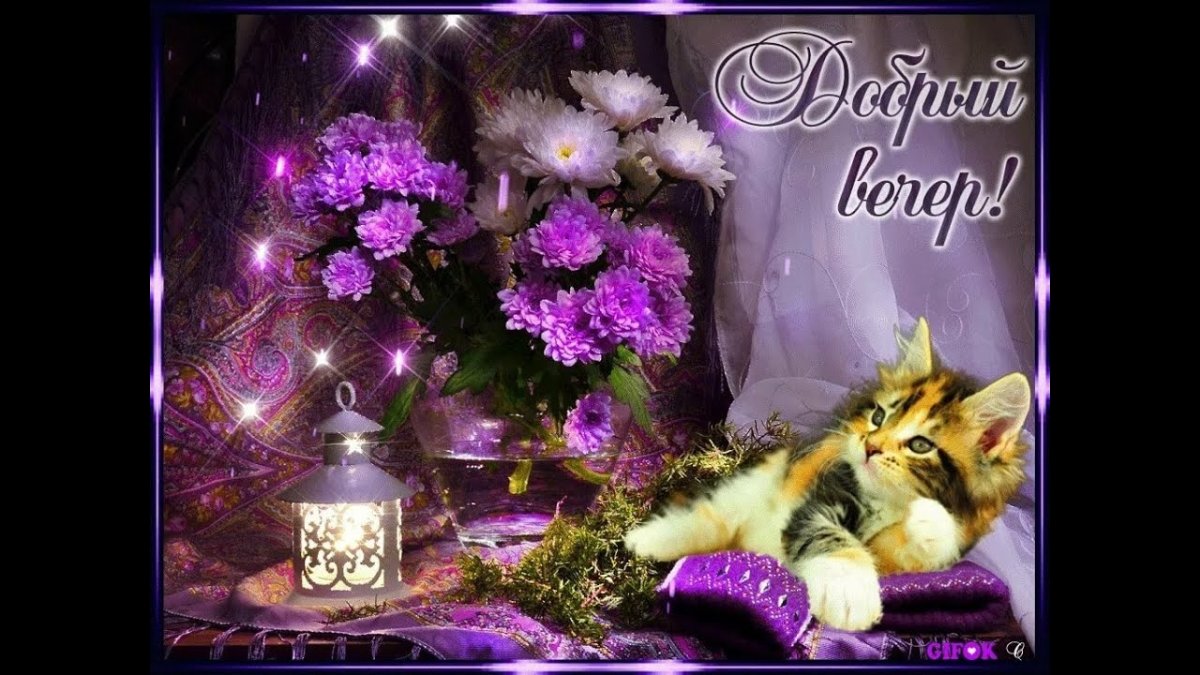 Открытки добрый вечер